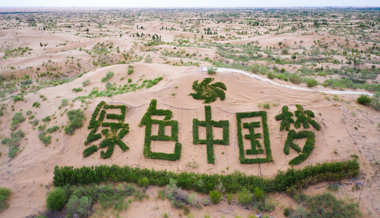 聯合國認可工程 荒漠治理考察之旅 - 百利好環球