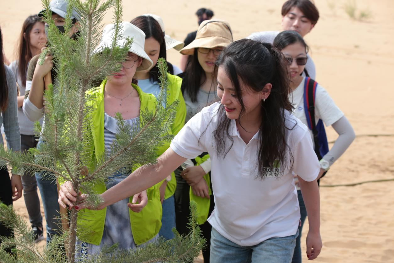 聯合國認可工程 荒漠治理考察之旅 - 百利好環球